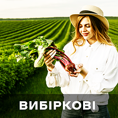 Вибіркові (селективні)