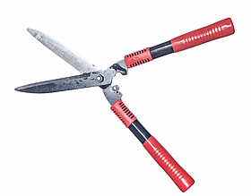 Гілкоріз садовий