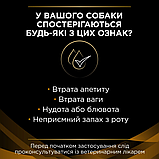 ProPlan VD DOG Can NF Renal Function консерва при хронічній хворобі нирок у собак, мус 195г, фото 2
