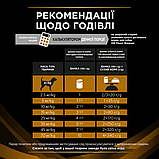 ProPlan VD DOG Can NF Renal Function консерва при хронічній хворобі нирок у собак, мус 195г, фото 5