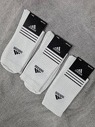 Шкарпетки Adidas білі (12 пар)