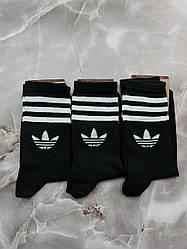 Шкарпетки Adidas чорні (12 пар)