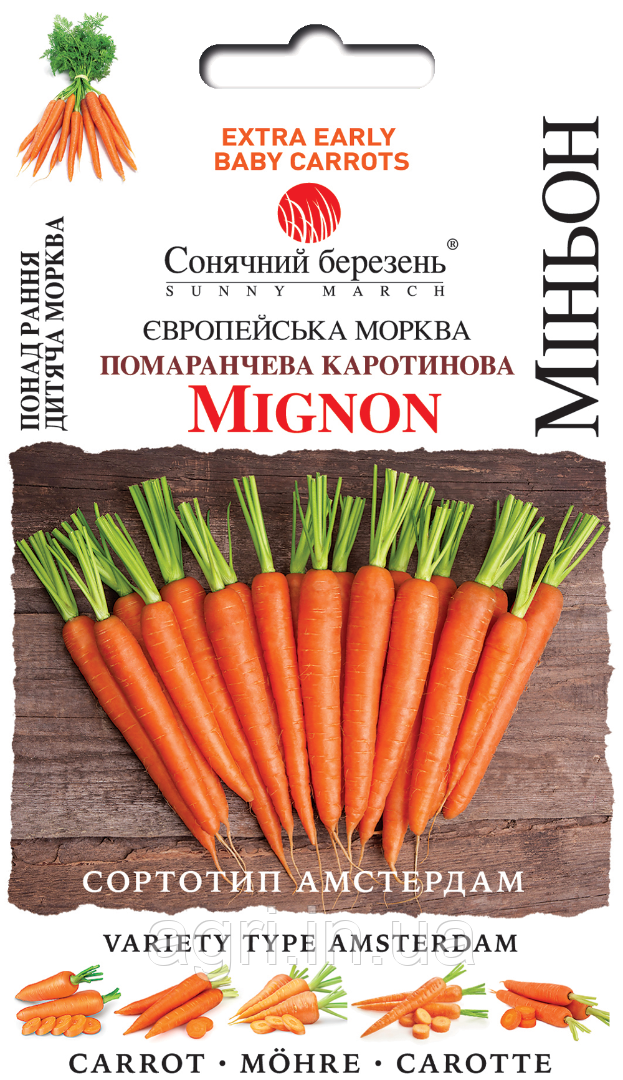Морква  Міньон, 1000шт.