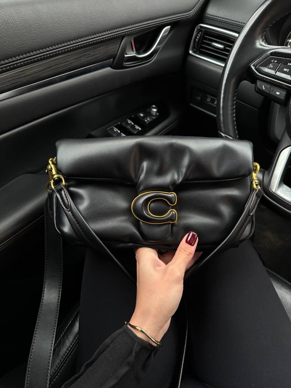 PREMIUM ГЛАДКА  NEW Black Pillow Tabby   [магнітна коробка]