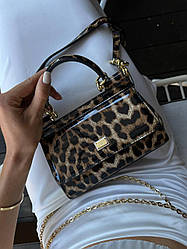 DOLCE & GABBANA