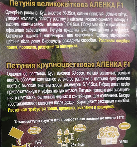 Петунія великоквіткова Аленка F1 низькорослі 10шт, фото 3