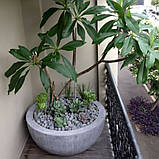 Бетонні вазони "Верона" кашпо для квітів, кущів та дерев, для вулиці, саду, дачі та тераси, фото 8