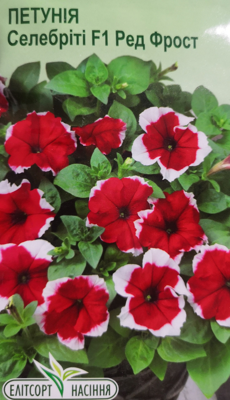 Петунія СелебрітіF1 Ред Фрост 10шт