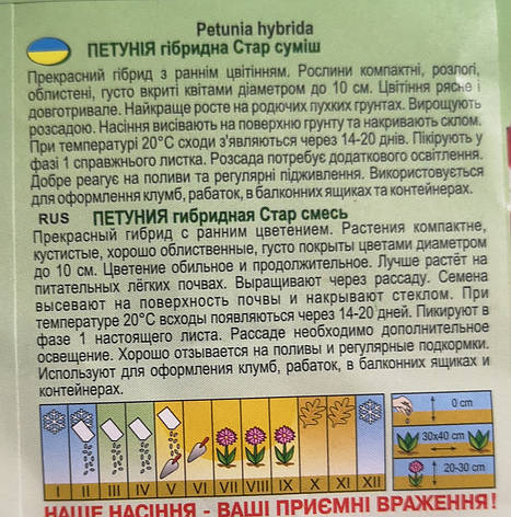 Петунія Стар суміш 0.05г, фото 3