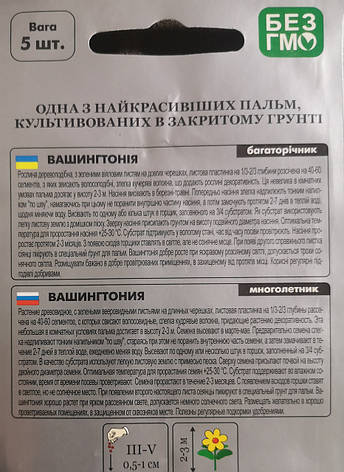 Вашингтонія 5шт, фото 3