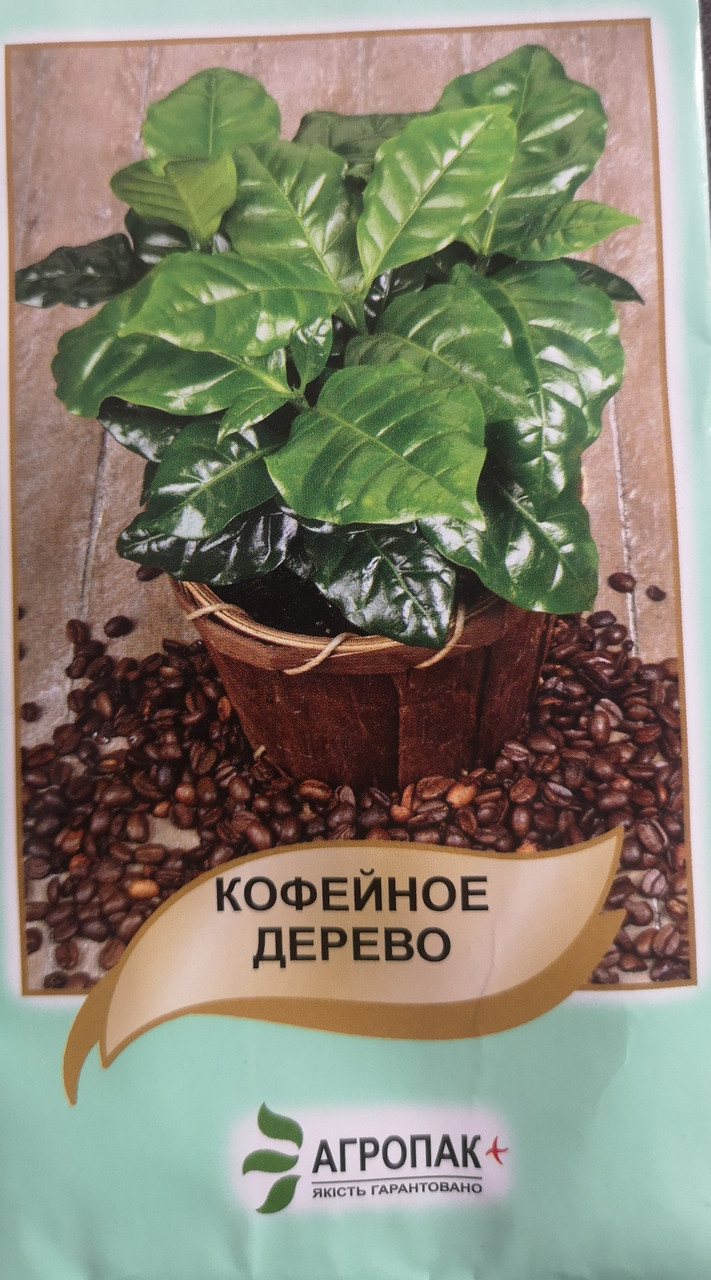 Кавове дерево 5 шт.
