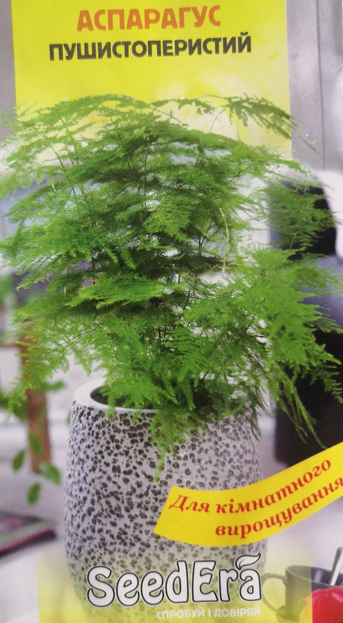 Аспарагус пушистоперистий 0.1г