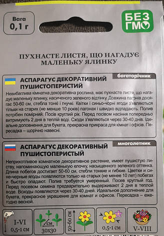 Аспарагус пушистоперистий 0.1г, фото 3