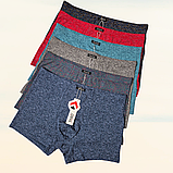 Чоловічі труси боксери Taso модал 1шт Розмір XL 2XL 3XL, фото 2