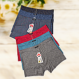 Чоловічі труси боксери Taso модал 1шт Розмір XL 2XL 3XL, фото 3