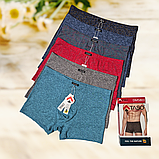 Чоловічі труси боксери Taso модал 1шт Розмір XL 2XL 3XL, фото 4