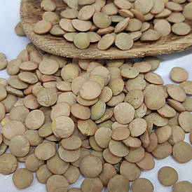 Сочевиця зелена 1кг