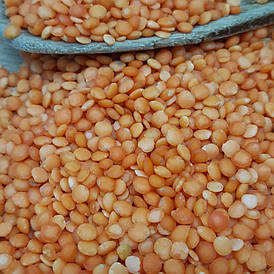 Сочевиця червона 1 кг