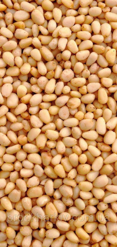 Кедровий горіх 500 грам, фото 2