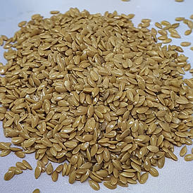 Льон золотий