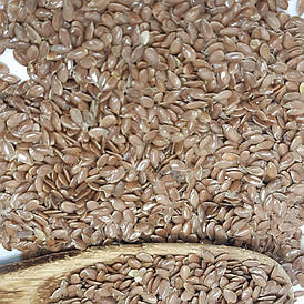 Насіння льону