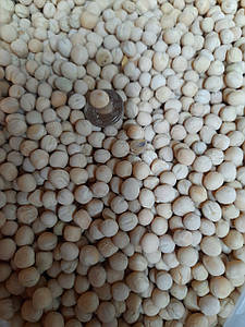 Нут 1 кг (Україна)