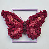 Картина на Подарунок дівчині дружині дочці на 8 березня метелик з моху РІзні розміри, фото 5