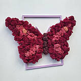 Картина на Подарунок дівчині дружині дочці на 8 березня метелик з моху РІзні розміри, фото 4