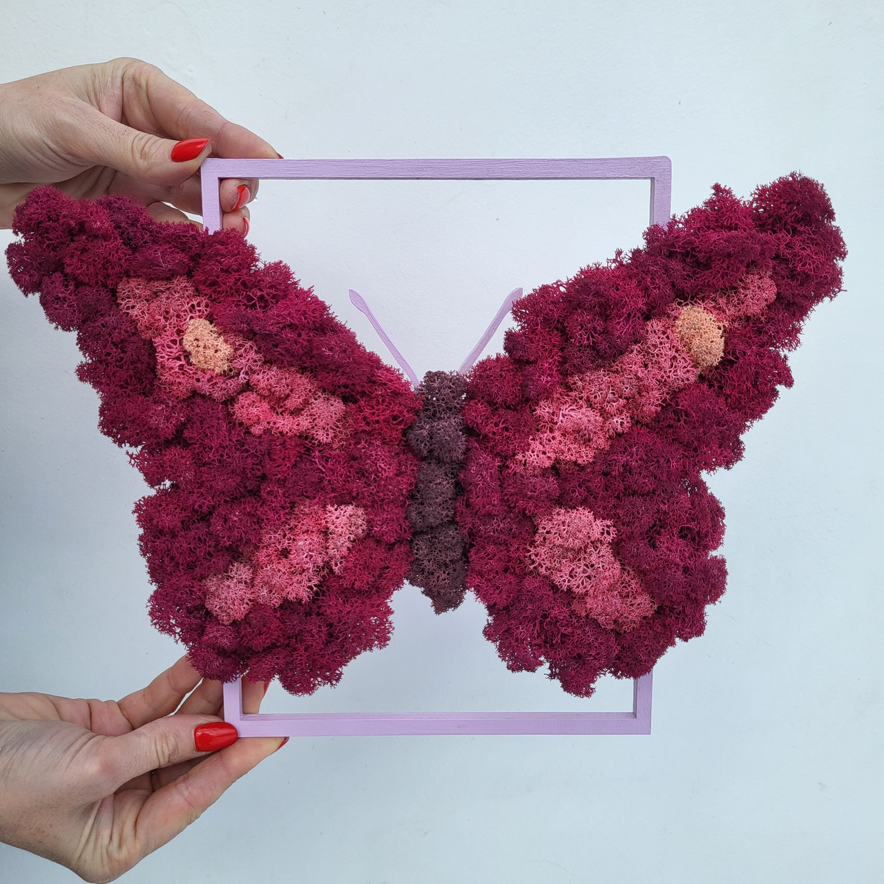 Картина на Подарунок дівчині дружині дочці на 8 березня метелик з моху РІзні розміри, фото 1