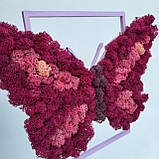 Картина на Подарунок дівчині дружині дочці на 8 березня метелик з моху РІзні розміри, фото 8