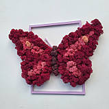 Картина на Подарунок дівчині дружині дочці на 8 березня метелик з моху РІзні розміри, фото 7