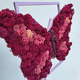 Картина на Подарунок дівчині дружині дочці на 8 березня метелик з моху РІзні розміри, фото 10