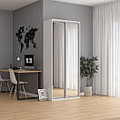 Шафа Купе (10) Шир 900 мм., Вис 2100 мм., Гл 450 мм. + Дзеркало, фото 2