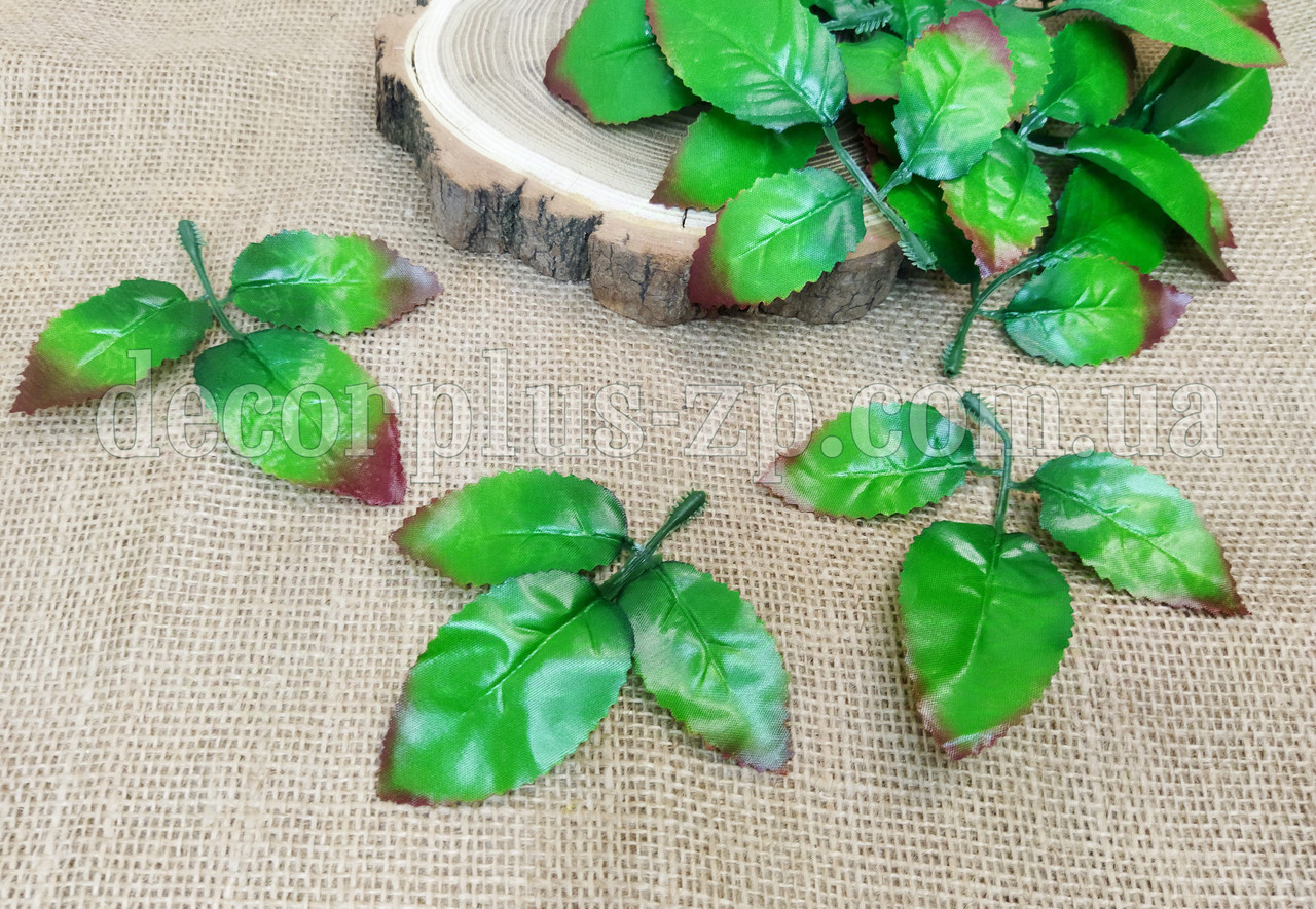 Листя троянди 3-ка  з облямівкою, фото 1