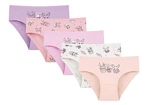 Дитячі трусики для дівчаток ТМ Donella оптом р.2/3 роки (98-104 см)