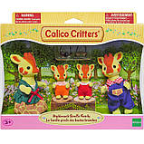 Sylvanian Families 5639 Сім'я Жирафів, фото 9