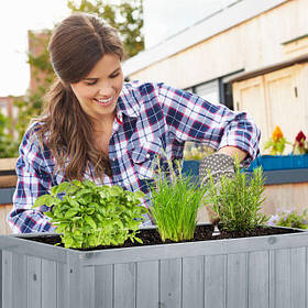 Приподнятые грядки