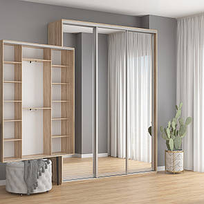 Шафа Купе (3) Шир від 1800 до 2100 мм., Вис 2400 мм., Гл 450 мм. + Дзеркало