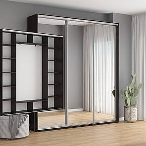 Шафа Купе (4) Шир від 2200 до 2400 мм., Вис 2400 мм., Гл 450 мм. + Дзеркало