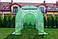 Плівкова теплиця Virgo Garden «Green Tunnel» (4×2.5×2м, 10 м²), фото 6