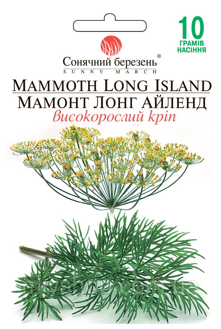 Укроп Мамонт лонг айленд 10 г Сонячний березень, фото 1