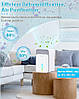 Портативний осушувач повітря LIPONTAN проти плісняви, кімнатний осушувач повітря з таймером, нічним режимом, фото 5