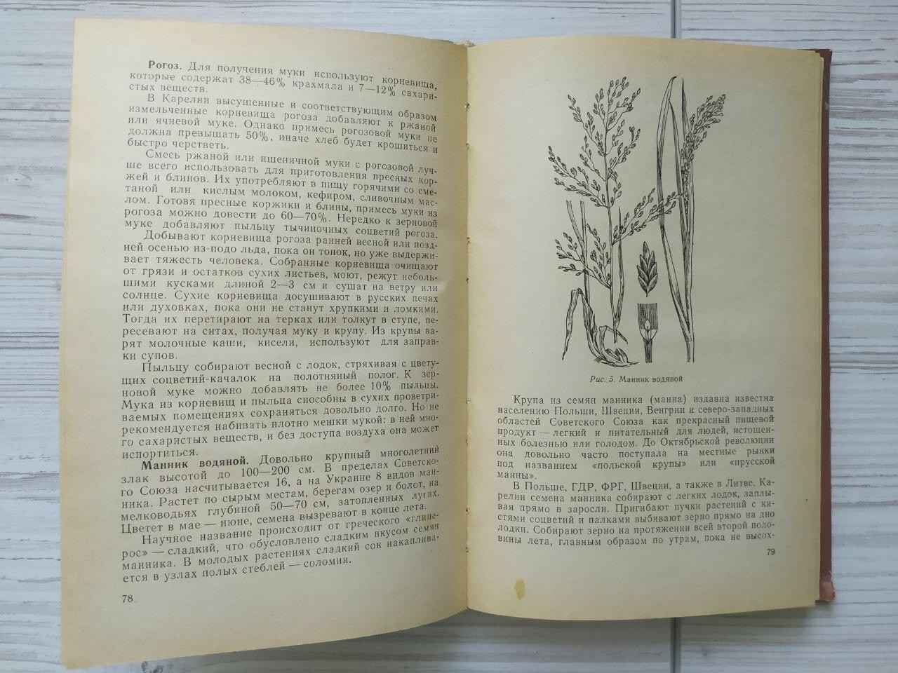 Product image preview