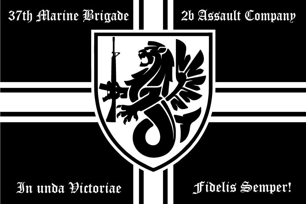 Прапор «37-th Marine Brigade, 2b Assault Company»