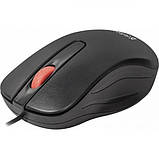 Комп'ютерна миша Defender Point MM-756, USB, оптична, 1000 dpi, 3 кнопки, 1.5 м., Black, фото 4