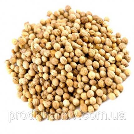 Коріандр (кінза) зерна, 1кг, фото 1