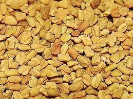 Пажитник зерно, 1кг