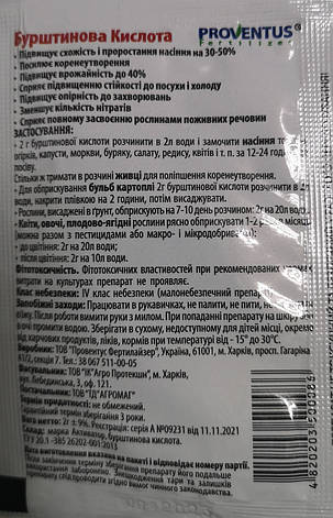 Бурштинова кислота 2 г., фото 4