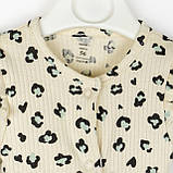 Комплект чоловічок з шапочкою для дівчинки Leo, фото 2