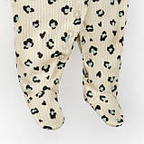 Комплект чоловічок з шапочкою для дівчинки Leo, фото 4